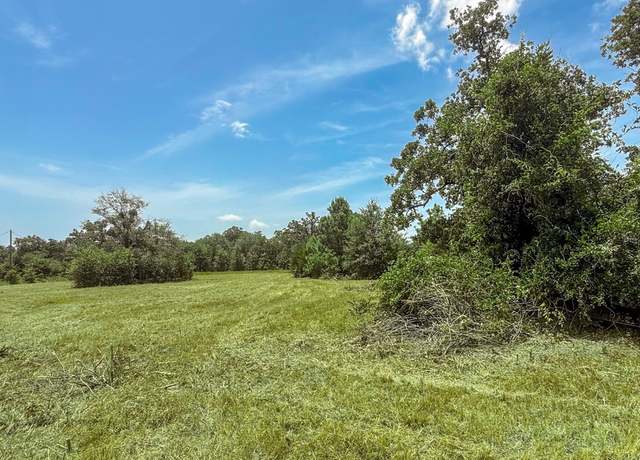 Property at 19822 Megan St, Bedias, TX 77831