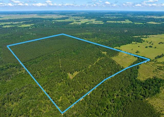 Property at 0 Bo Brown Rd, Trinity, TX 75862