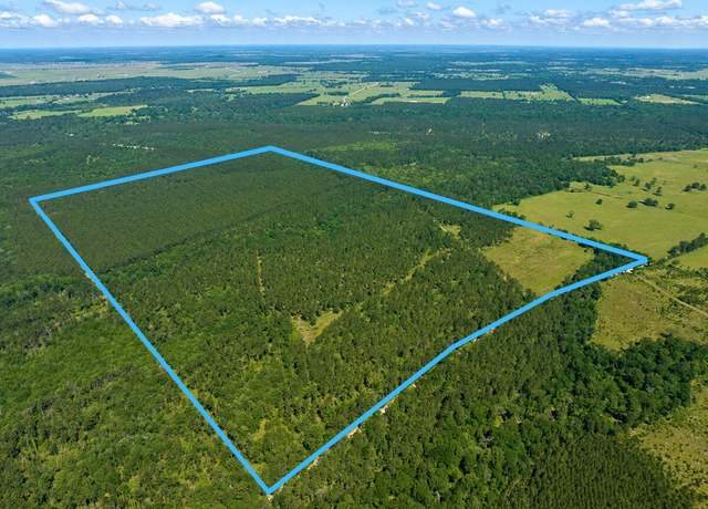 Property at 0 Bo Brown Rd, Trinity, TX 75862