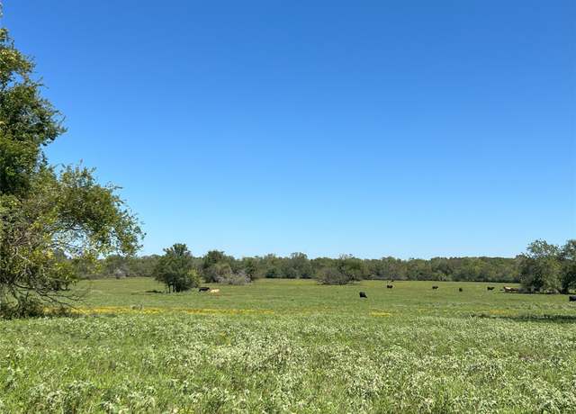 Property at 0000 tbd Jackson Rd, Montgomery, TX 77316