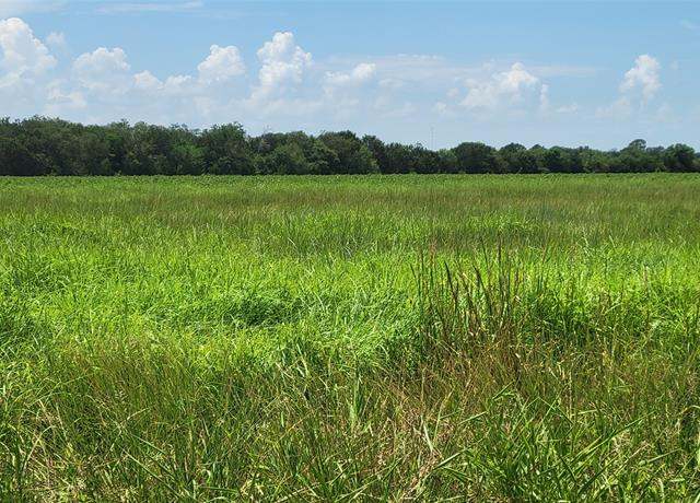Property at 0 Whitetail Xing Xing, Needville, TX 77461