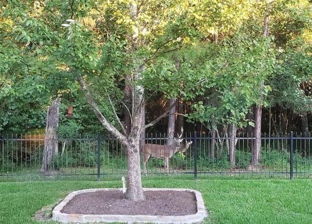 Property at 13826 Slate Mountain Ln, Houston, TX 77044, 3 beds, 3 baths
