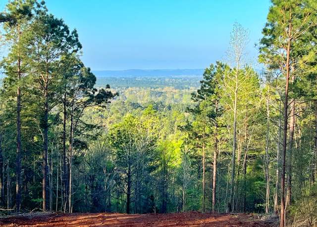 Property at 99 ac Cr 2107, Rusk, TX 75785