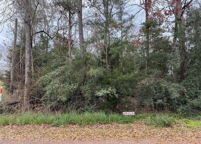 Property at Lot 27 & 28 Dove Is, Livingston, TX 77351