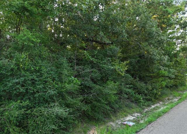 Property at TBD Laurel, Onalaska, TX 77360