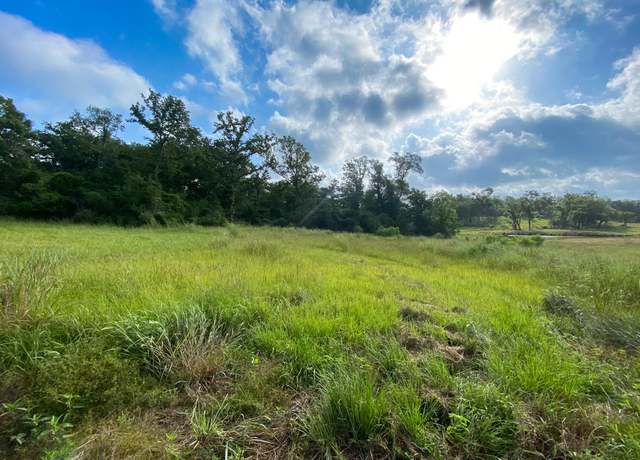 Property at TR8 County Rd 426, Marquez, TX 77865