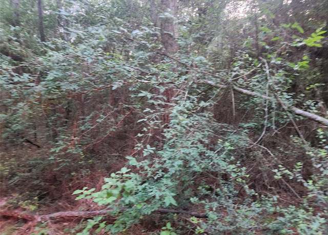 Property at Lot 5 Tallowood Dr, Plantersville, TX 77363