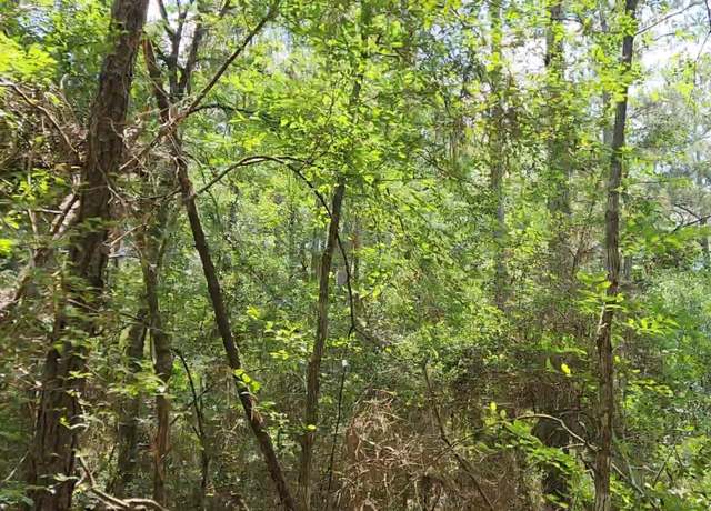 Property at Lot 5 Tallowood Dr, Plantersville, TX 77363