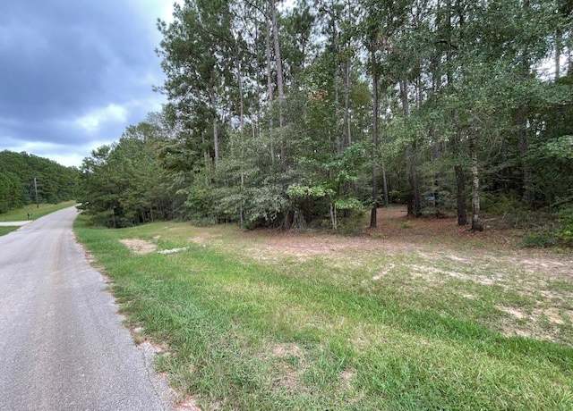 Property at 0 Amelia Dr, Anderson, TX 77830