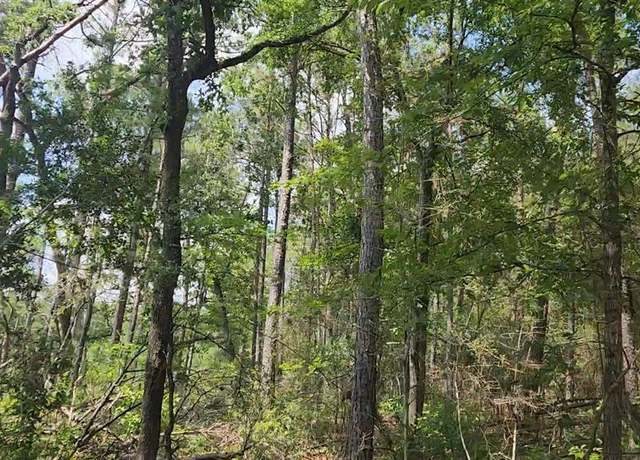 Property at Lot 33 Gum Tree Ln, Plantersville, TX 77363