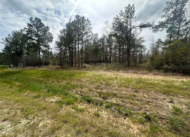 Property at 219 Iron Horse Rd, New Waverly, TX 77358