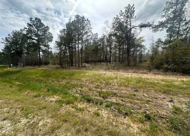 Property at 219 Iron Horse Rd, New Waverly, TX 77358