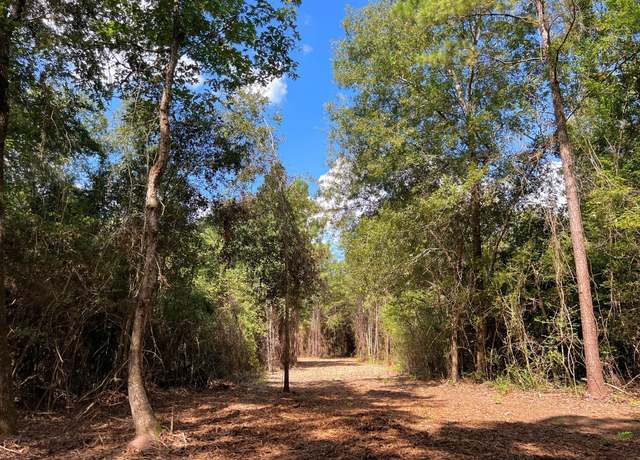 Property at 03 Eugene Walker Rd, Huntington, TX 75980