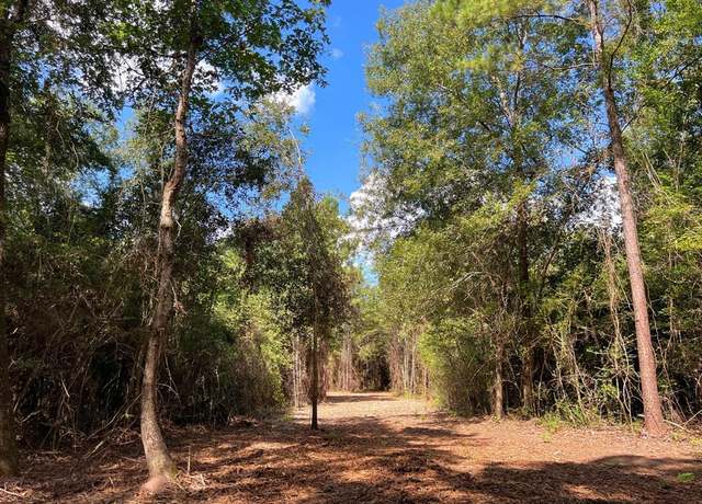 Property at 03 Eugene Walker Rd, Huntington, TX 75980