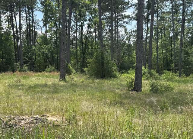 Property at 006 Private Road 6028, Brookeland, TX 75931
