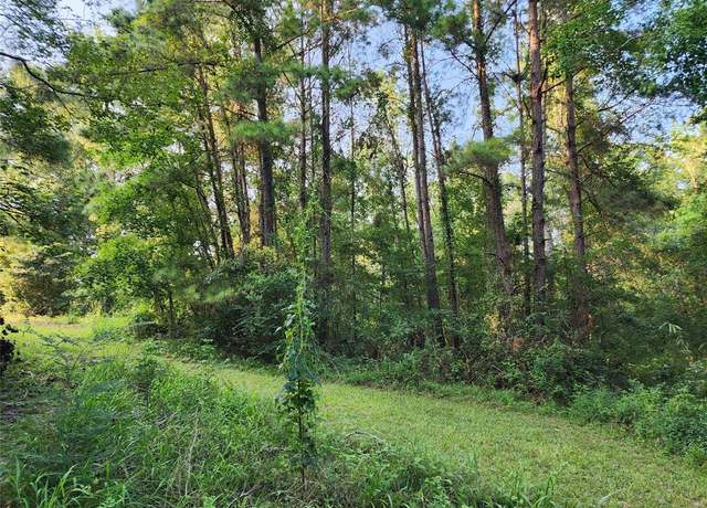 Property at 0 Governor Latham Cir, Point Blank, TX 77364