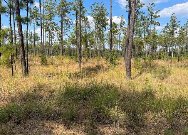 Property at 064 PR 6026, Brookeland, TX 75931