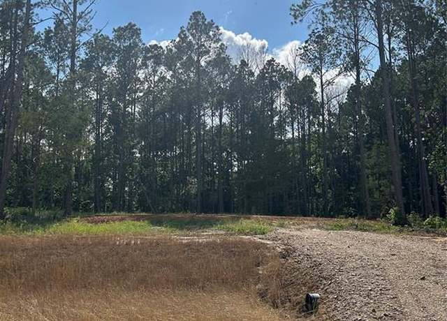 Property at 11333 Annie Creek Dr, Willis, TX 77378