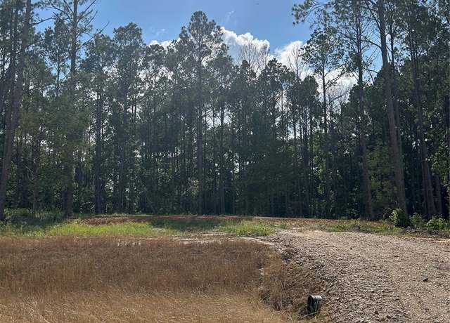 Property at 11333 Annie Creek Dr, Willis, TX 77378