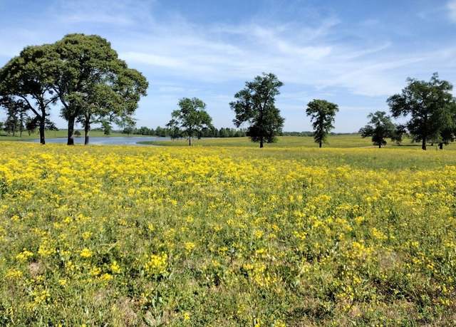 Property at 315 Clearlake Ln, Crockett, TX 75835