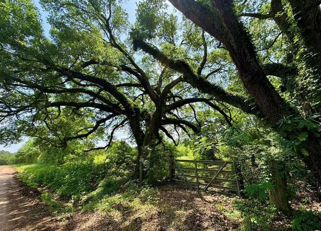 Property at 170 County Road 4545, Spurger, TX 77660