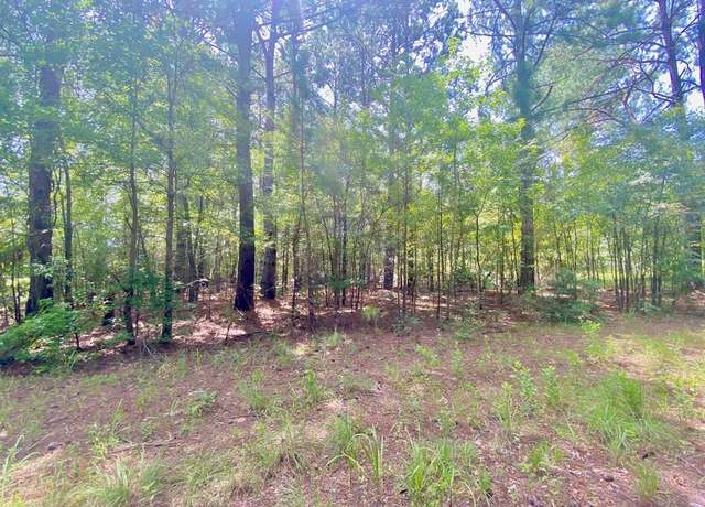 Property at TBD FM 861 St, Elkhart, TX 75839