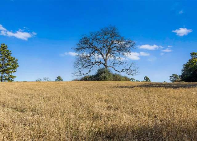 Property at TBD PR 1315, Centerville, TX 75833