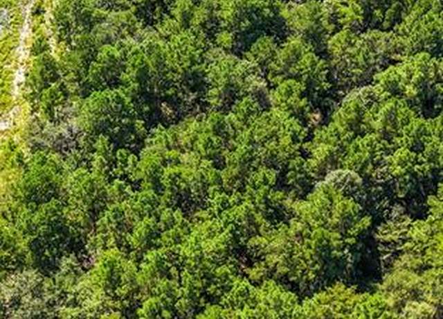 Property at 99 Granite Rd, Huntsville, TX 77340
