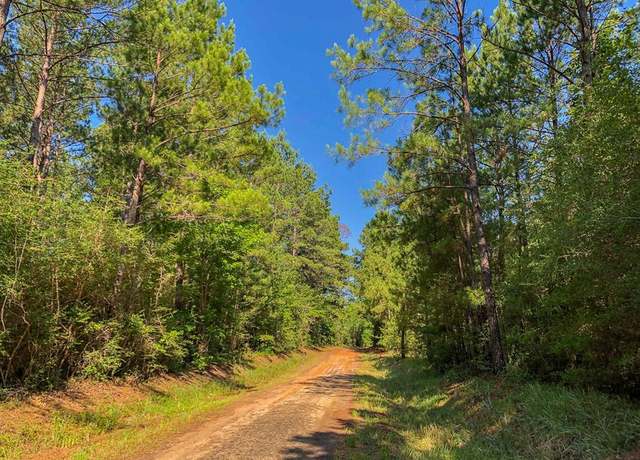Property at 0 CR 368, Zavalla, TX 75980