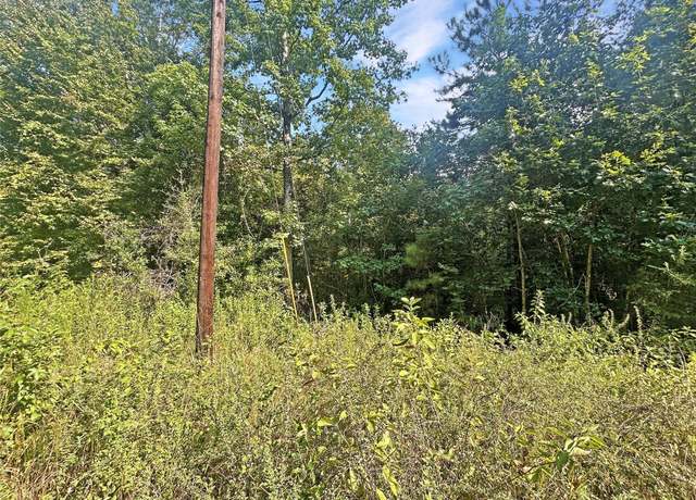 Property at 360 Private Road 6152, Woodville, TX 75979