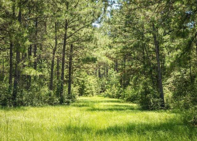 Property at 850 County Road 4390, Hillister, TX 77624