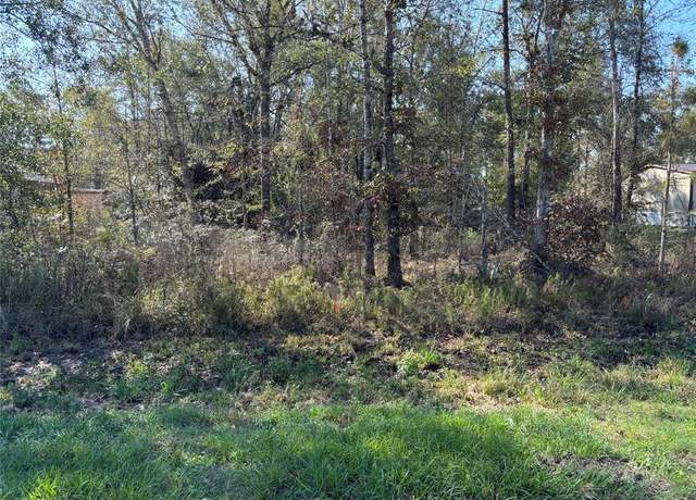 Property at 25968 Thatcham, New Caney, TX 77357