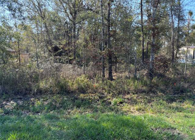Property at 25968 Thatcham, New Caney, TX 77357