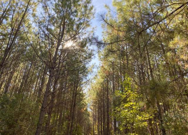 Property at TBD Cr 1150, Woodville, TX 75979