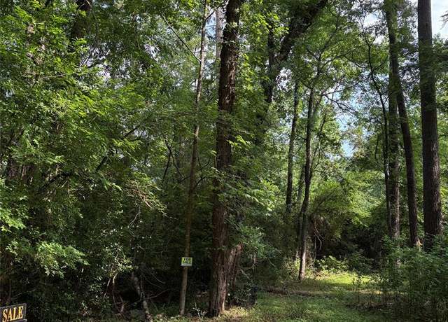 Property at 00 Canvasback Ln, Trinity, TX 75862