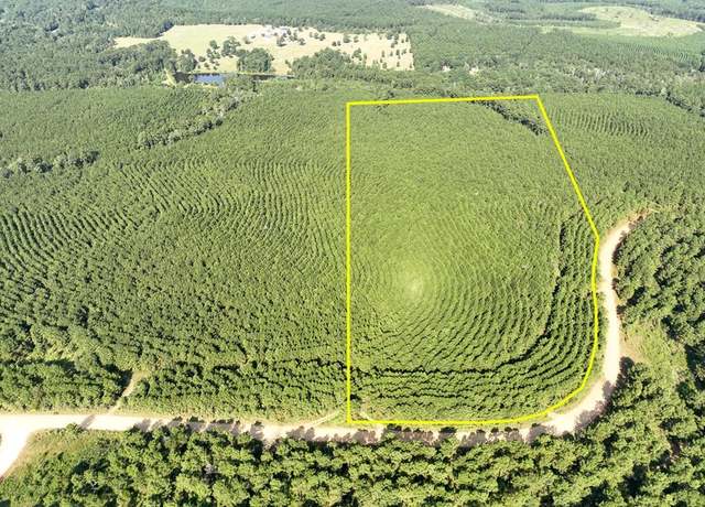 Property at 00 Shady Grove Rd, Woodville, TX 75979