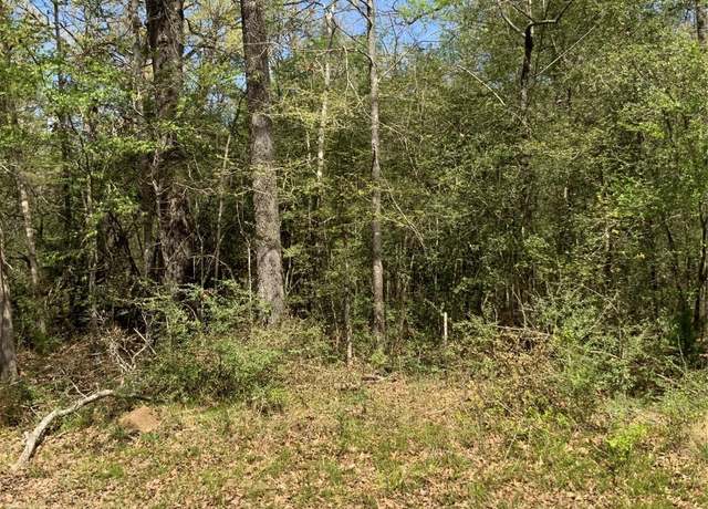 Property at 157 Foyt Dr, Livingston, TX 77351