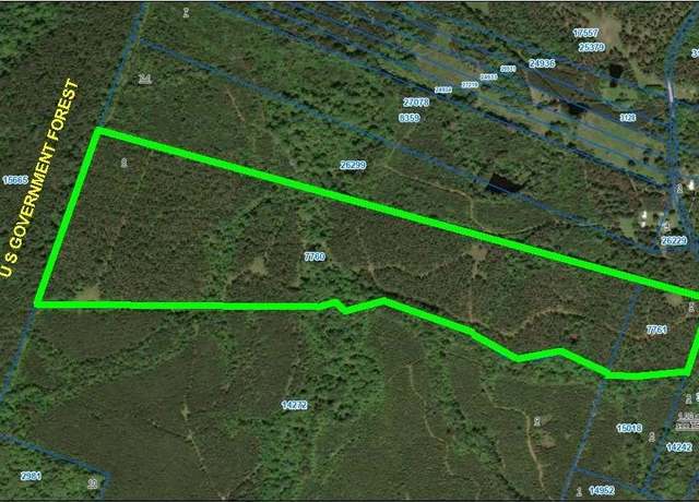Property at TBD County Road 1175, Kennard, TX 75847