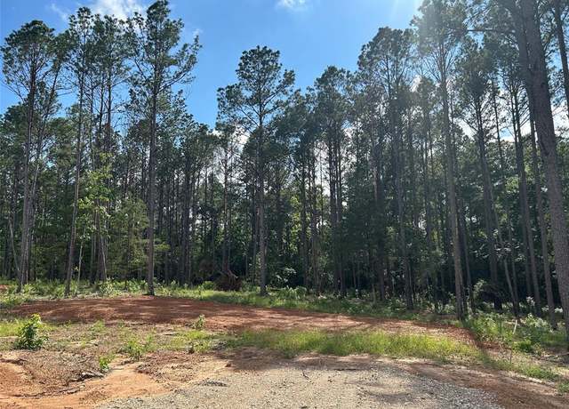 Property at 11339 Annie Creek Dr, Willis, TX 77378