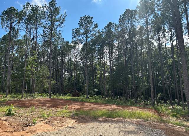 Property at 11339 Annie Creek Dr, Willis, TX 77378