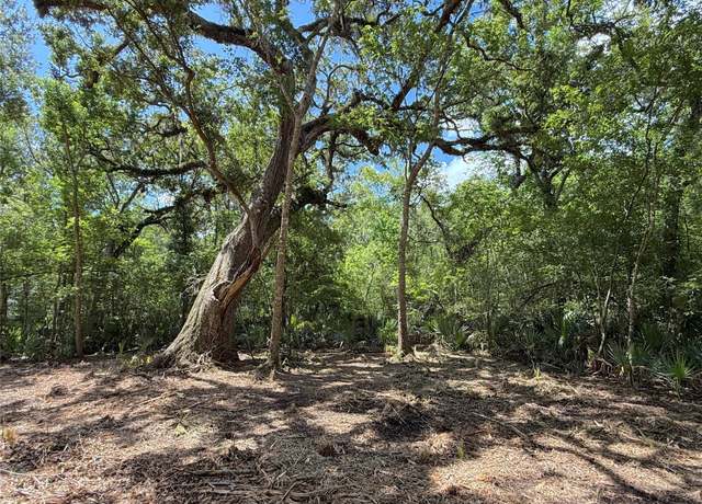 Property at 17480 County Road 945, Brazoria, TX 77422