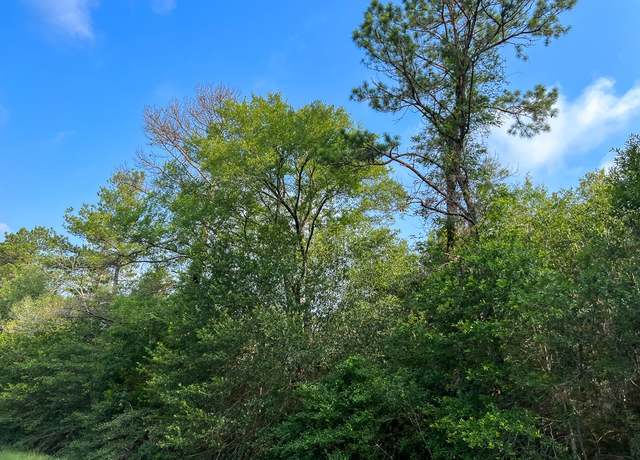 Property at 00 Fm 2989, Huntsville, TX 77320