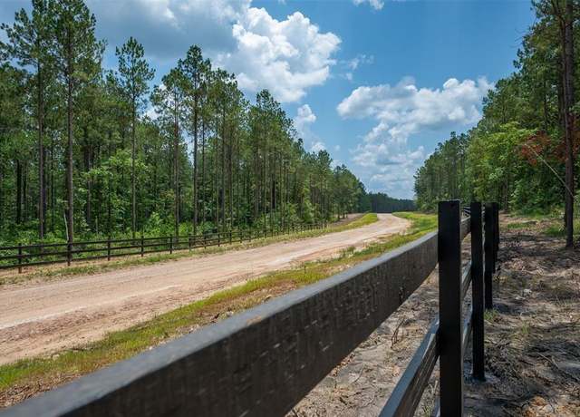 Property at Tract 14 Timberland Branch Dr, Woodville, TX 75979