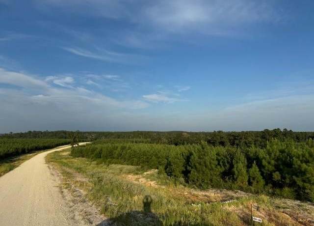 Property at TBD Blackjack Rd, Tract 47, Livingston, TX 77351