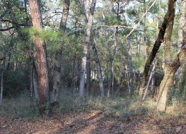 Property at 327 Coral Gables, Trinity, TX 75862