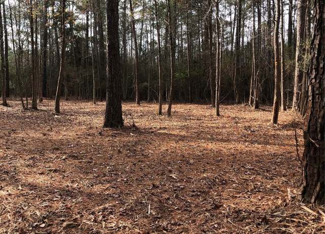 Property at TBD 13.56 ACRES Pr 8725, Woodville, TX 75979