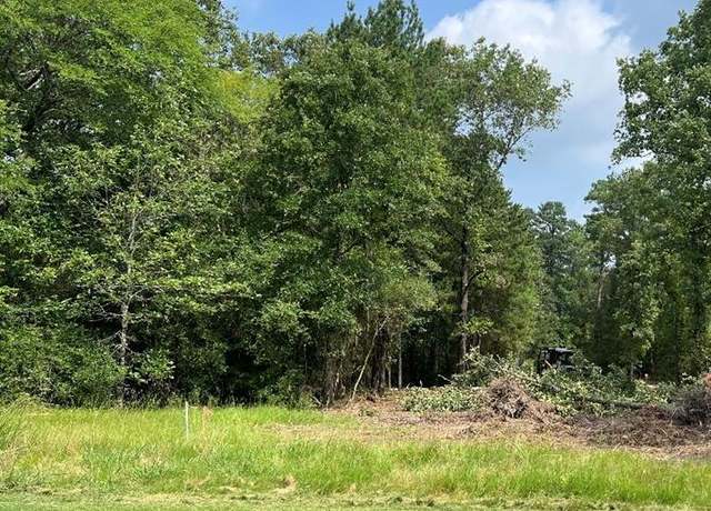 Property at 46 Greenway Dr, Trinity, TX 75862