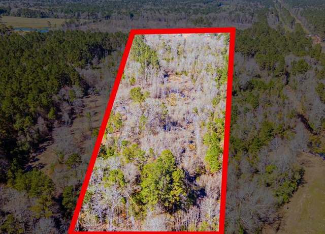 Property at 0 Shepherd Tram Dr, Shepherd, TX 77371