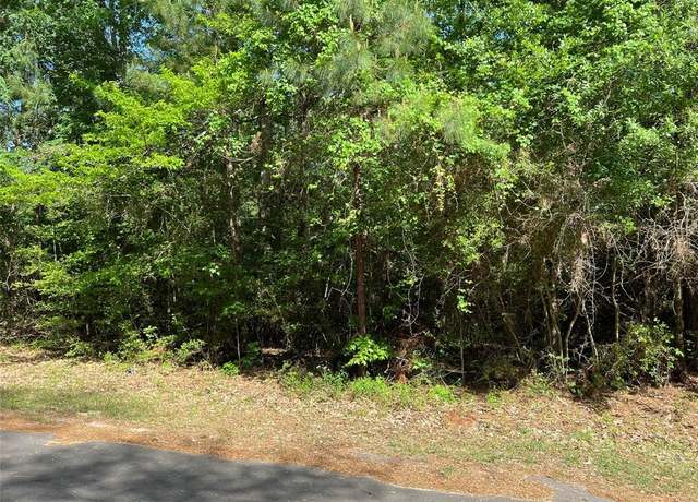Property at Lot 030 Hawk Ln, Trinity, TX 75862