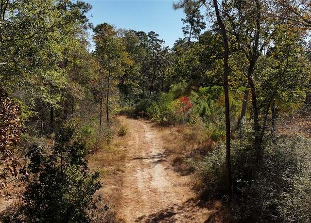 Property at 000 tbd Parrish Trl, Montgomery, TX 77356